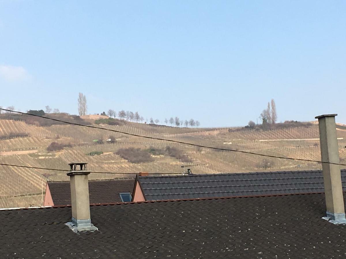 Gite Faubourg Des Pierres Sigolsheim Eksteriør bilde