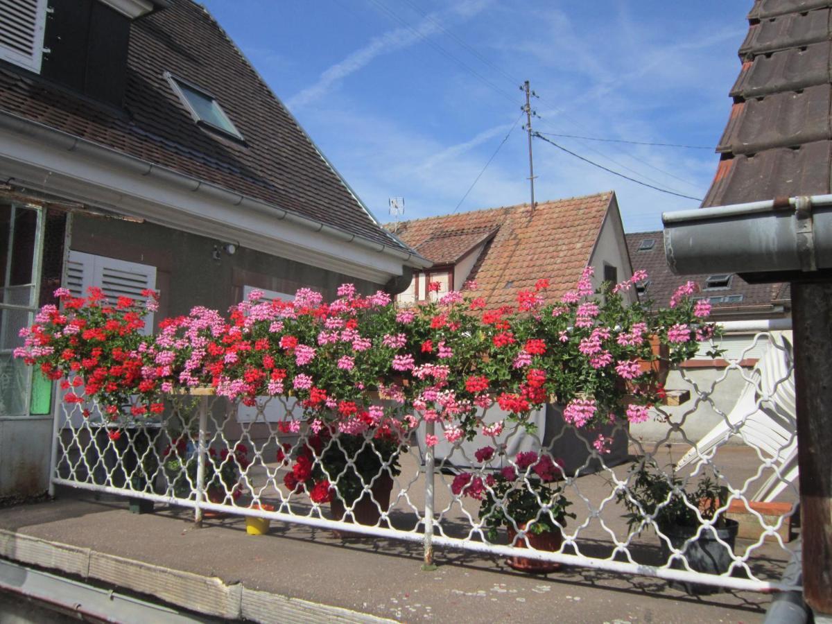 Gite Faubourg Des Pierres Sigolsheim Eksteriør bilde